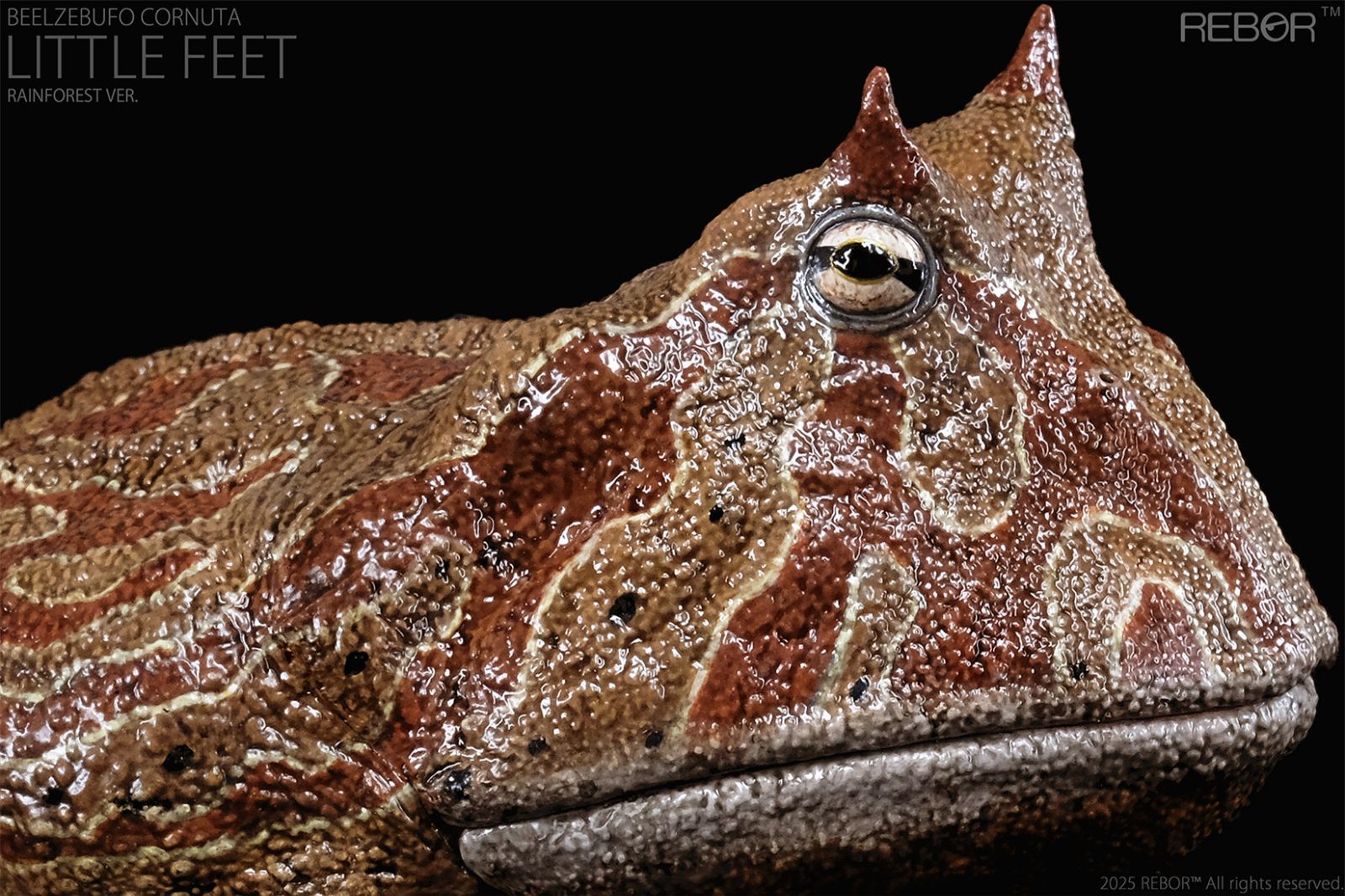 REBOR 1 2 サイズ ベールゼブフォ カエル フィギュア 可動 模型 大人 おもちゃ ブラウン