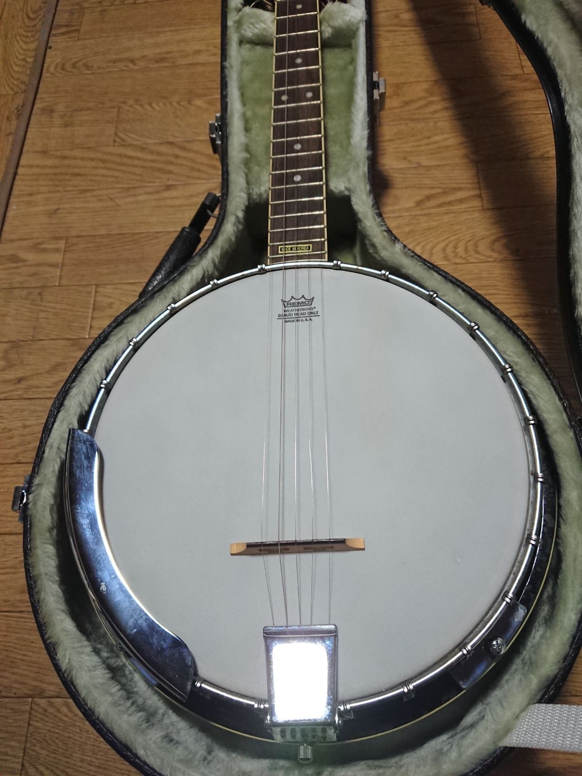 美品Aria 5弦 バンジョー banjo SB-100 ハードケース付き！ギターと ...