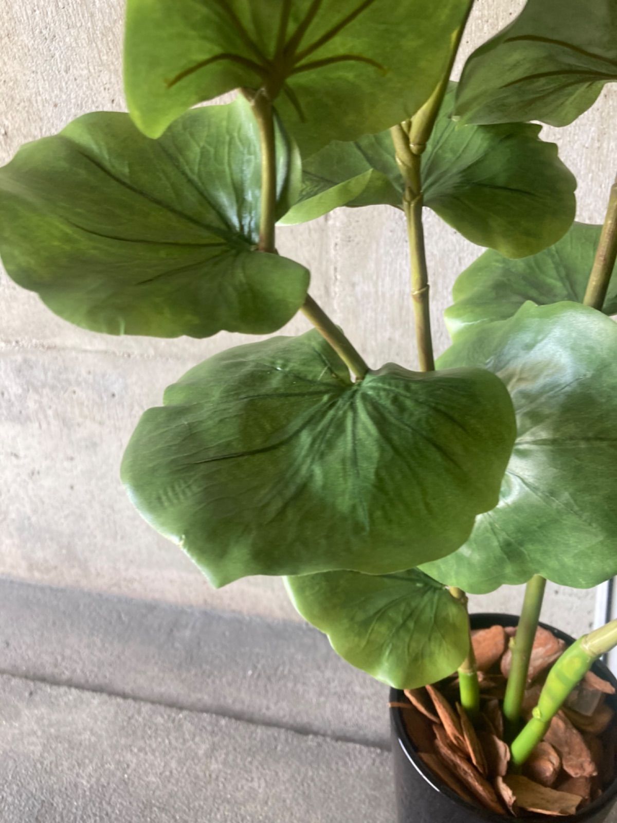 人工観葉植物 ウォールグリーン