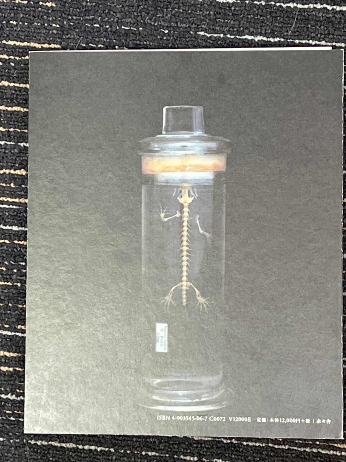 CHAMBER of CURIOSITIES - from the Collection of The University of