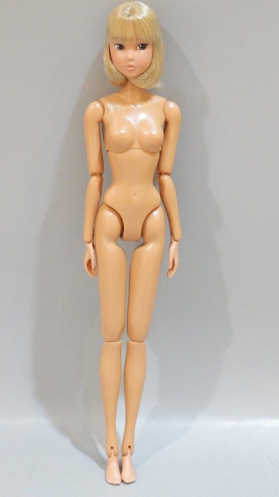 ペットワークス CCS-momoko Today s momoko アラカルト