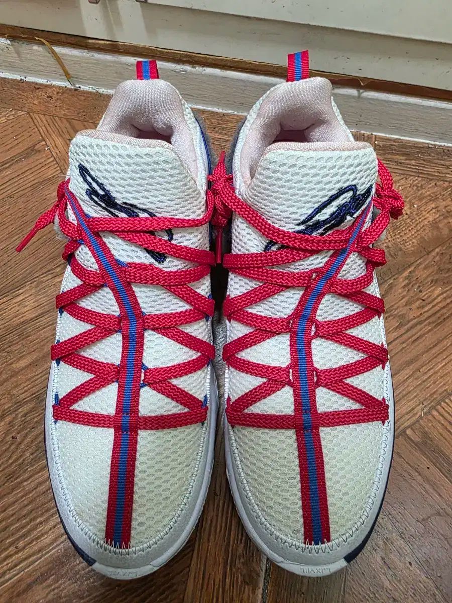 ナイキ エア 260 サイズに合わせて 実際のサイズ 255