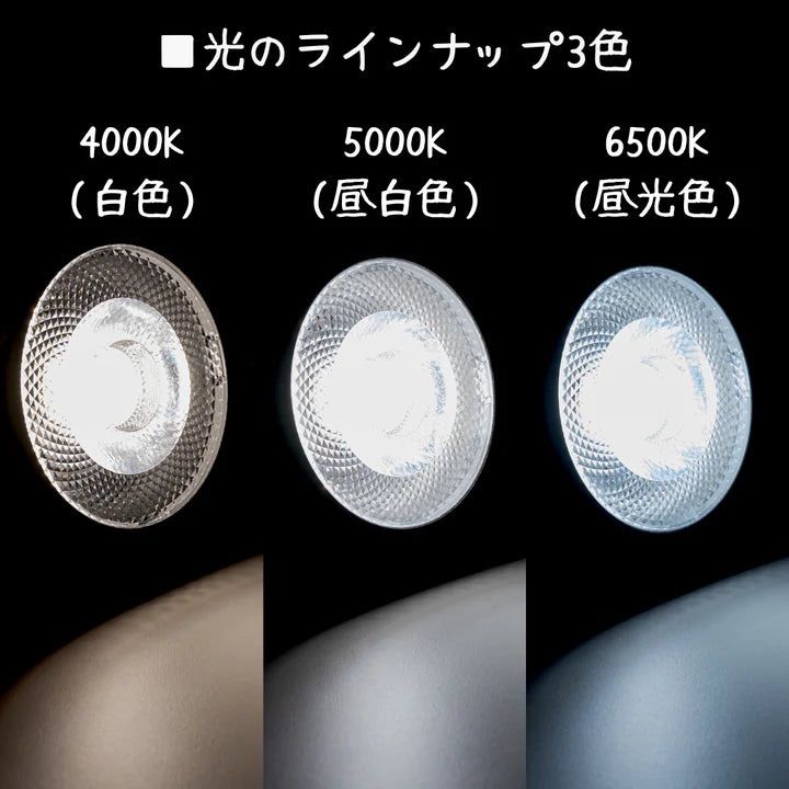 いきもの電球