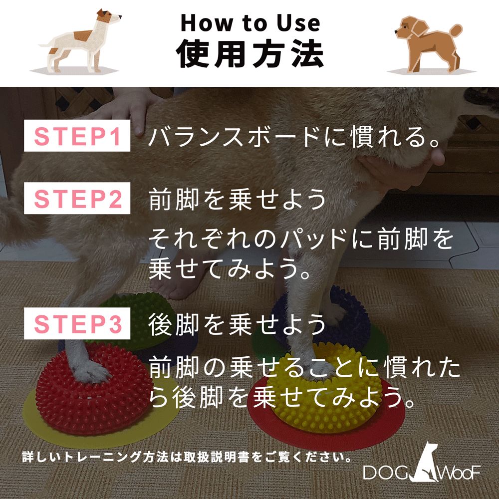 犬 ミニバランスボール