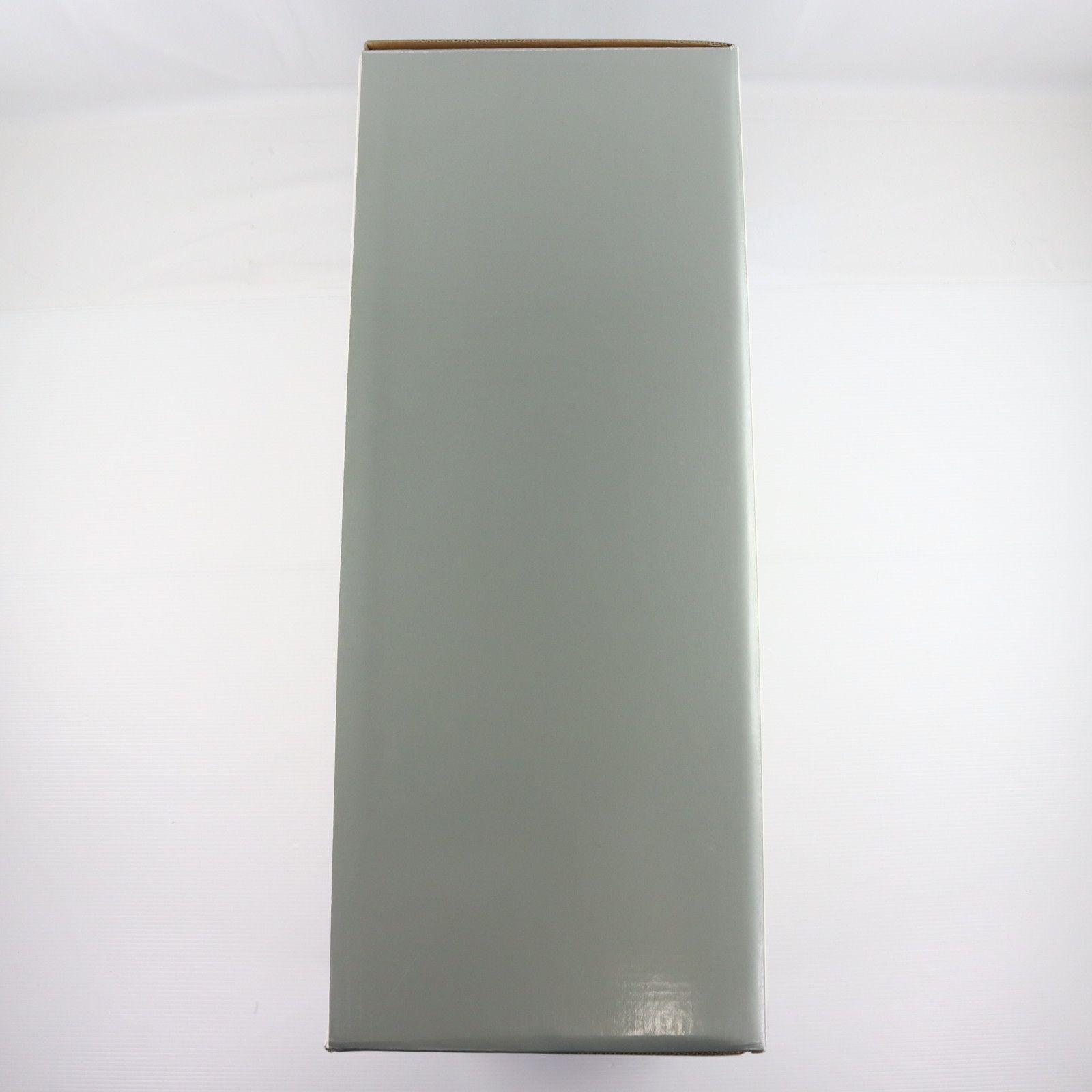 完成品 可動フィギュア