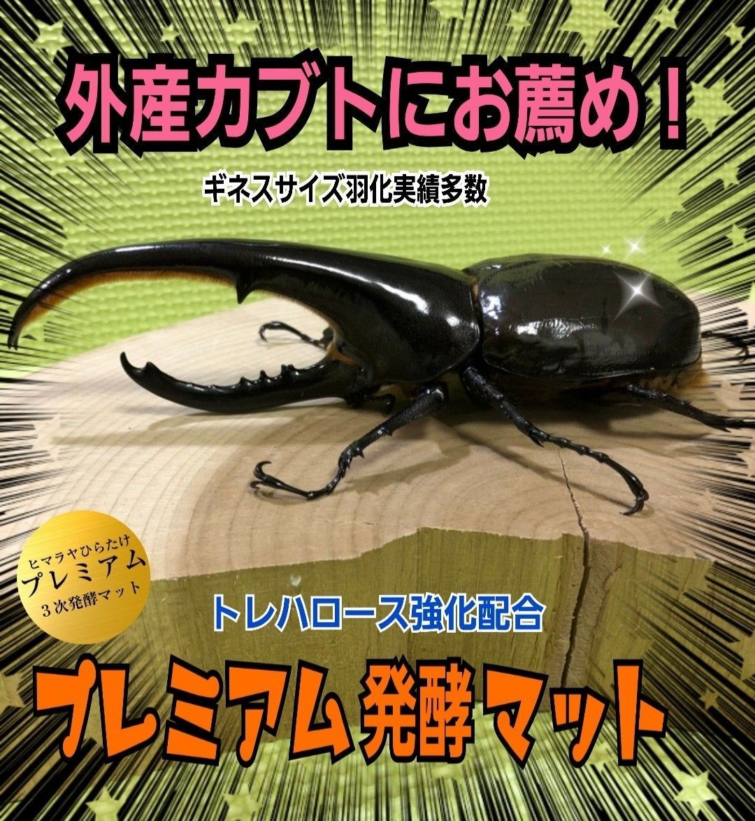 ヘラクレスに抜群！プレミアム3次発酵カブトムシマットギネスサイズ