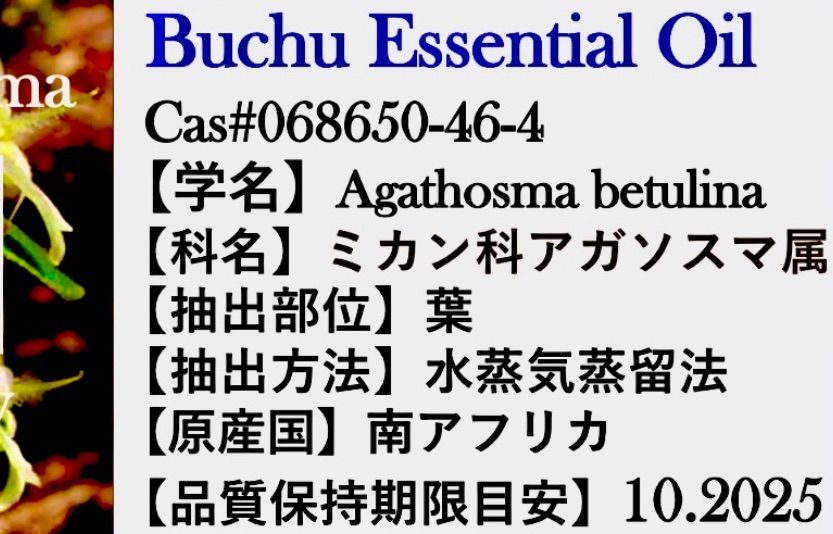 【ホットテント族の香水】ブチュ精油5ml(他容量対応可)