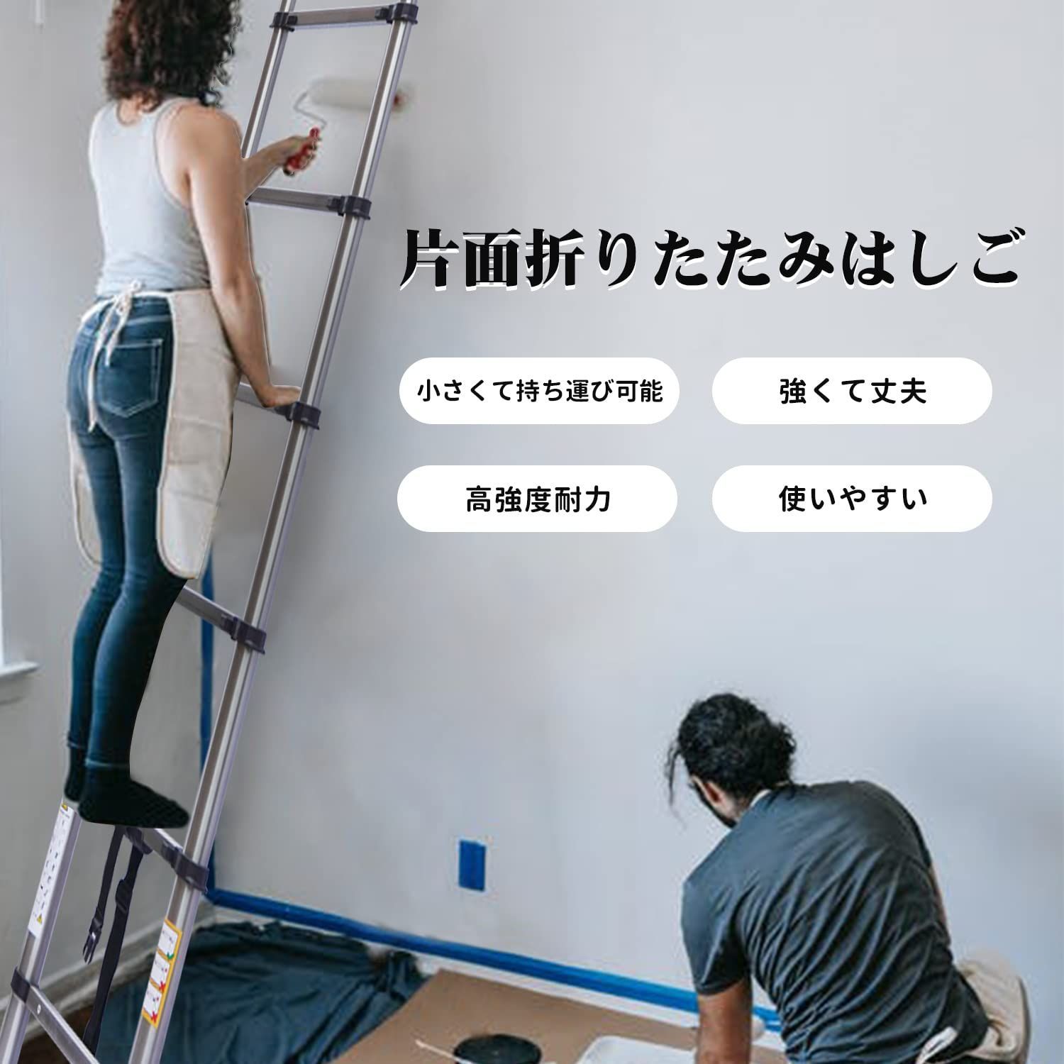 DayPlus 伸縮はしご