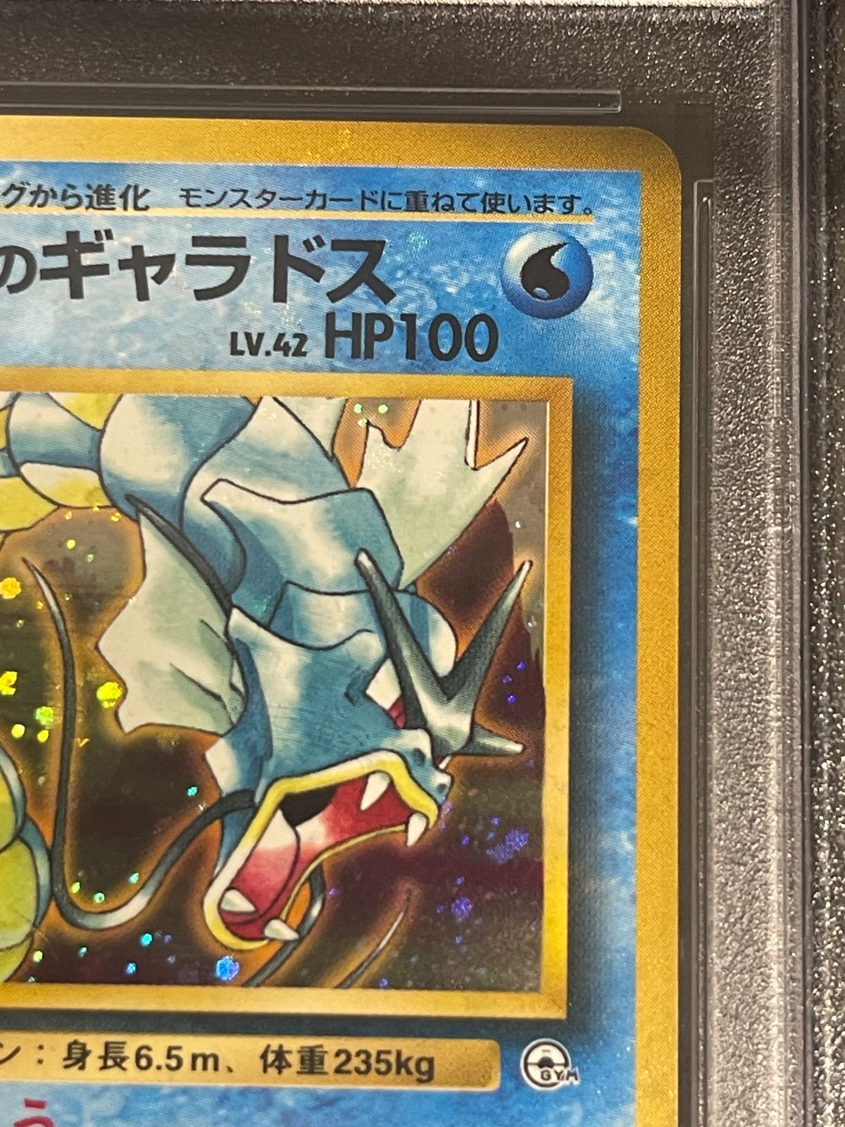 ポケモンカード 1998年 カスミのギャラドス 旧裏 PSA10鑑定品