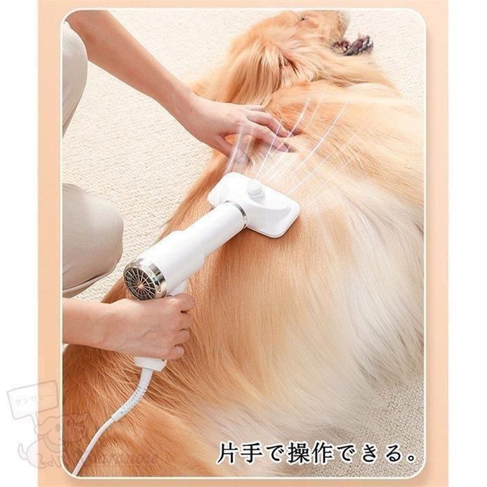 犬ドライヤー風量調節乾かすドライおすすめ快適チワワ小型犬ポメラニアンペット乾燥シャンプー後素早く乾かすペットドライドライヤー