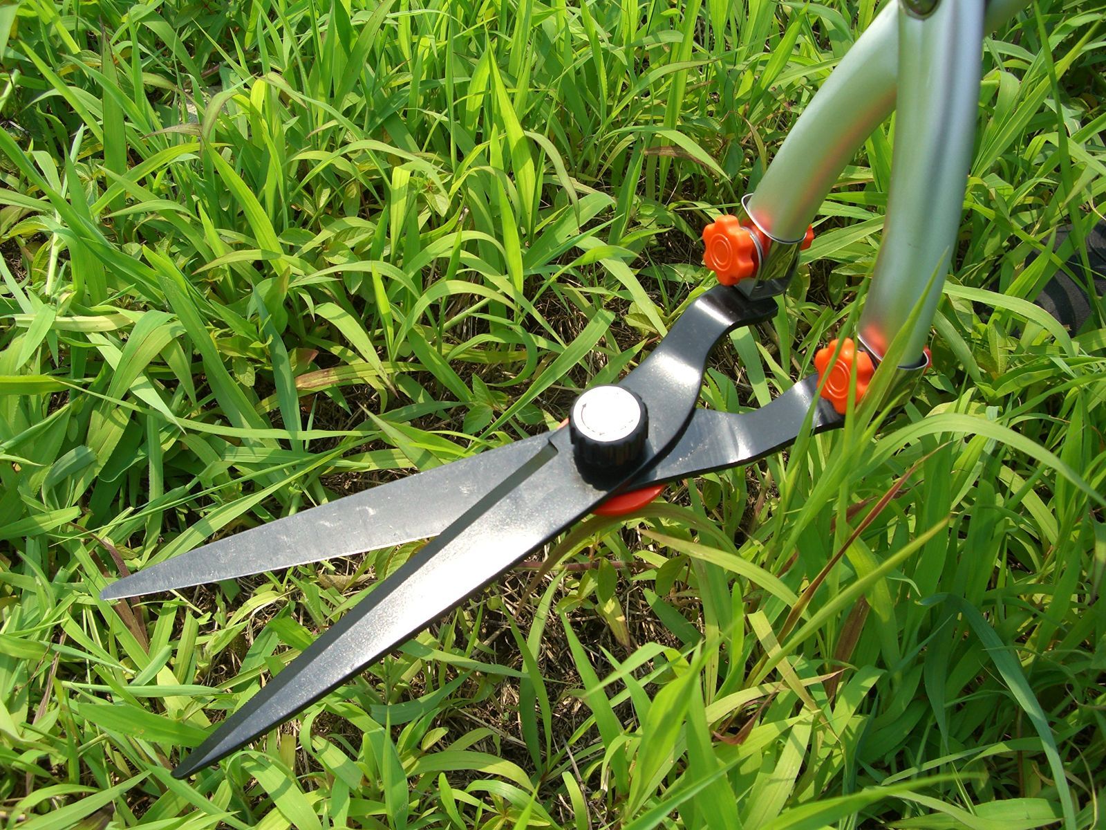 立ち作業用草刈りはさみ