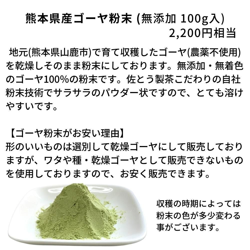 無添加・無着色 ゴーヤ丸ごと粉末100g(農薬不使用)2200円相当 - その他