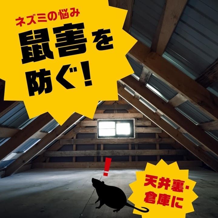 冷蔵庫の裏や下