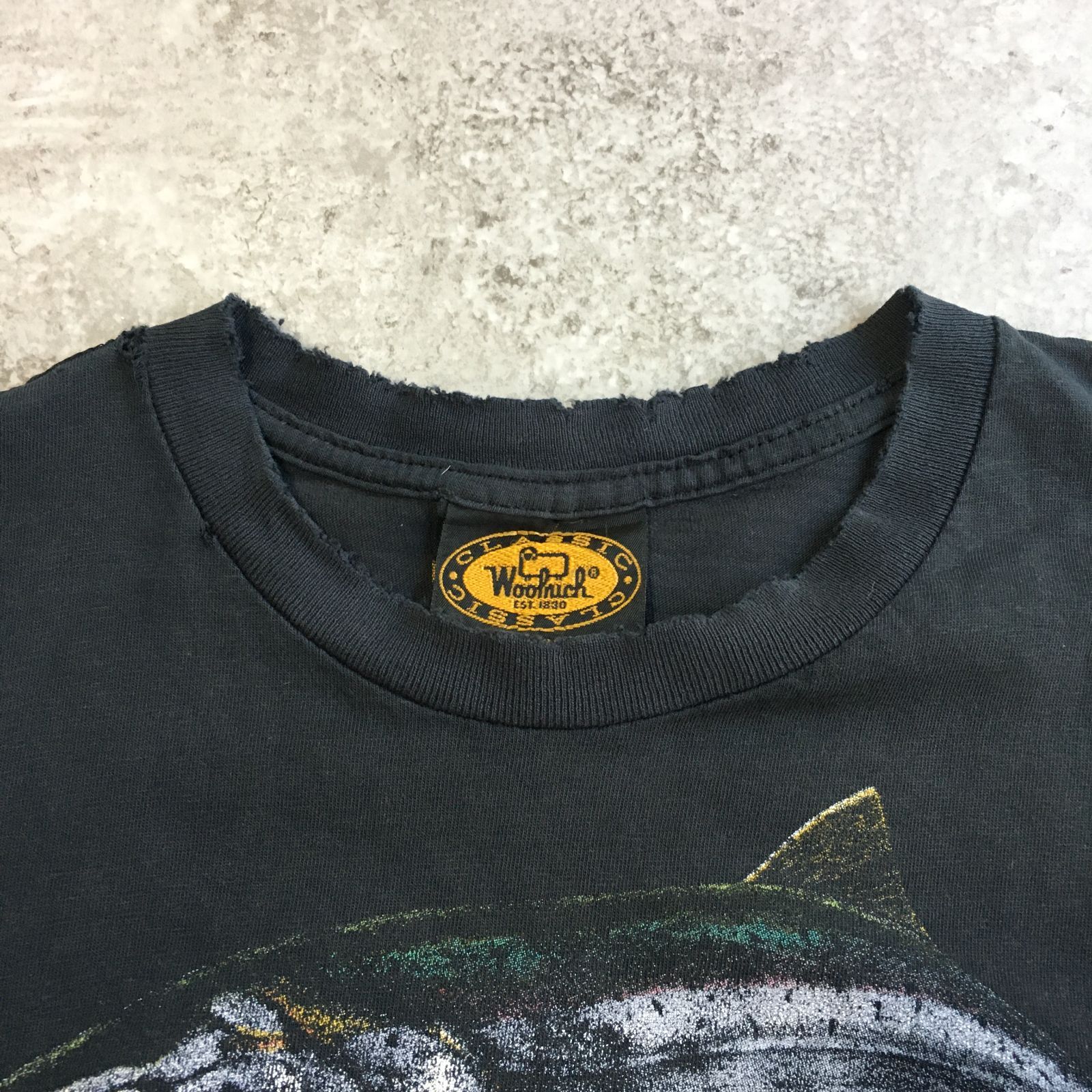 90s USA製 Wool rich DonRay Fish Printed T-shirt ウールリッチ