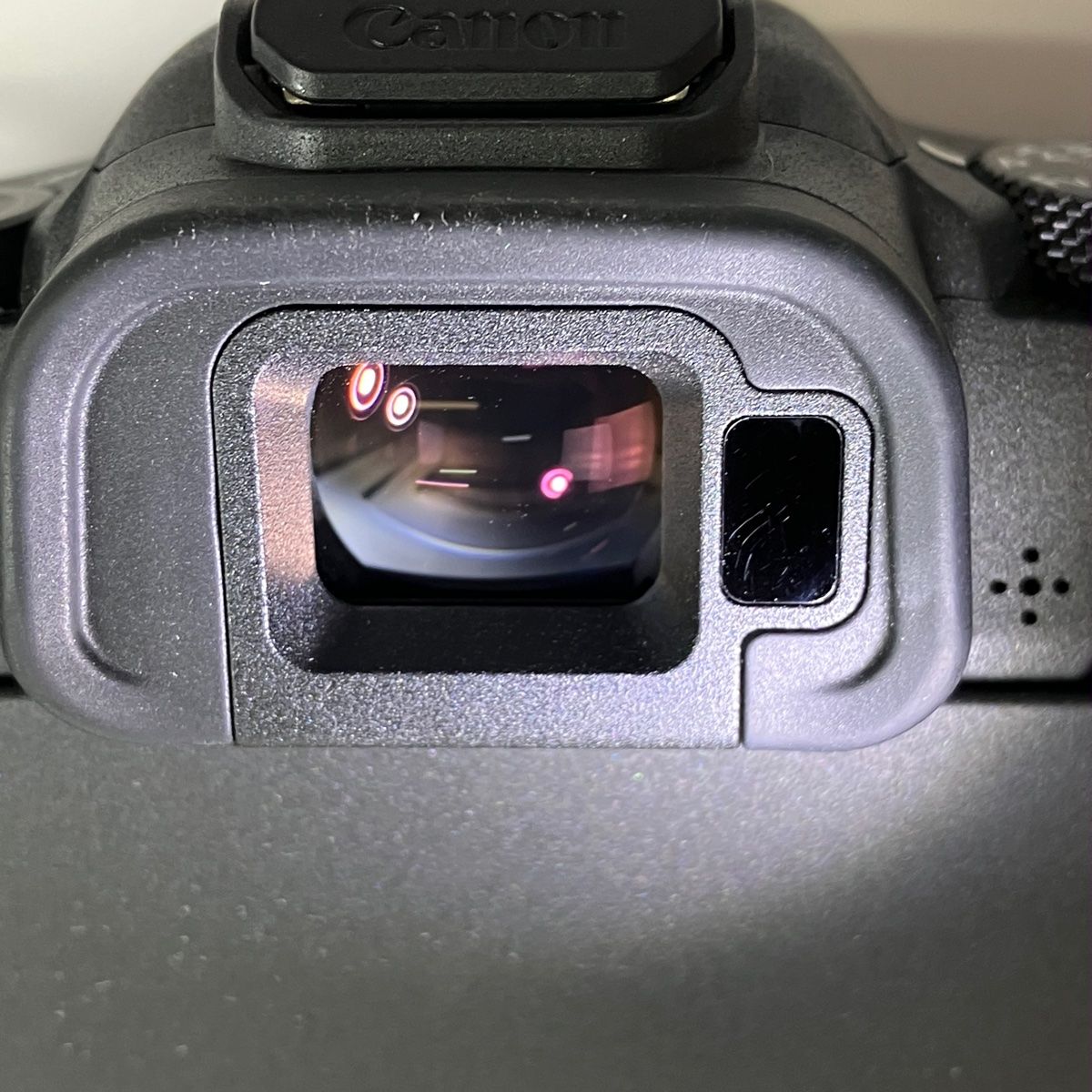 美品 Canon EOS R8 ボディ シャッターカウント1000以下 ショット数