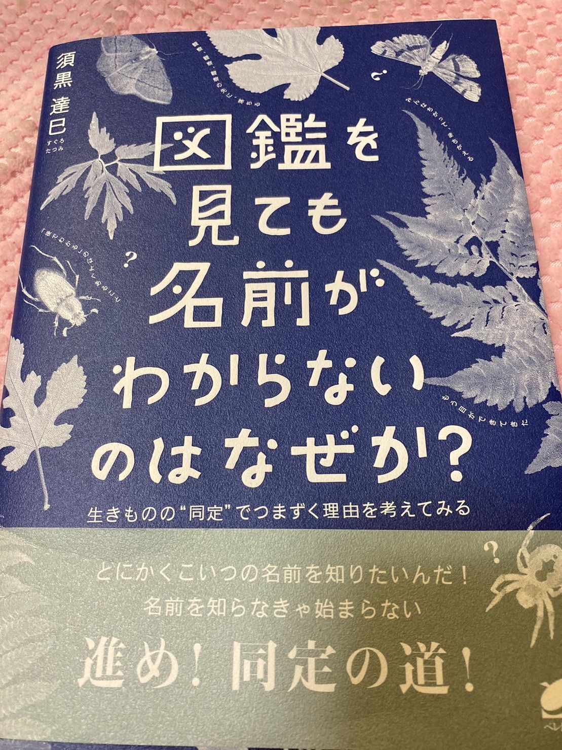 美品/帯付き」図鑑を見ても名前がわからないのはなぜか?: 生きものの“同定でつまずく理由を考えてみる／須黒 達巳 ②Y - メルカリ