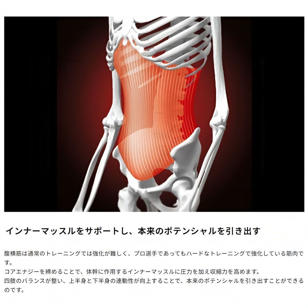 究 の野球ベルトサポーター