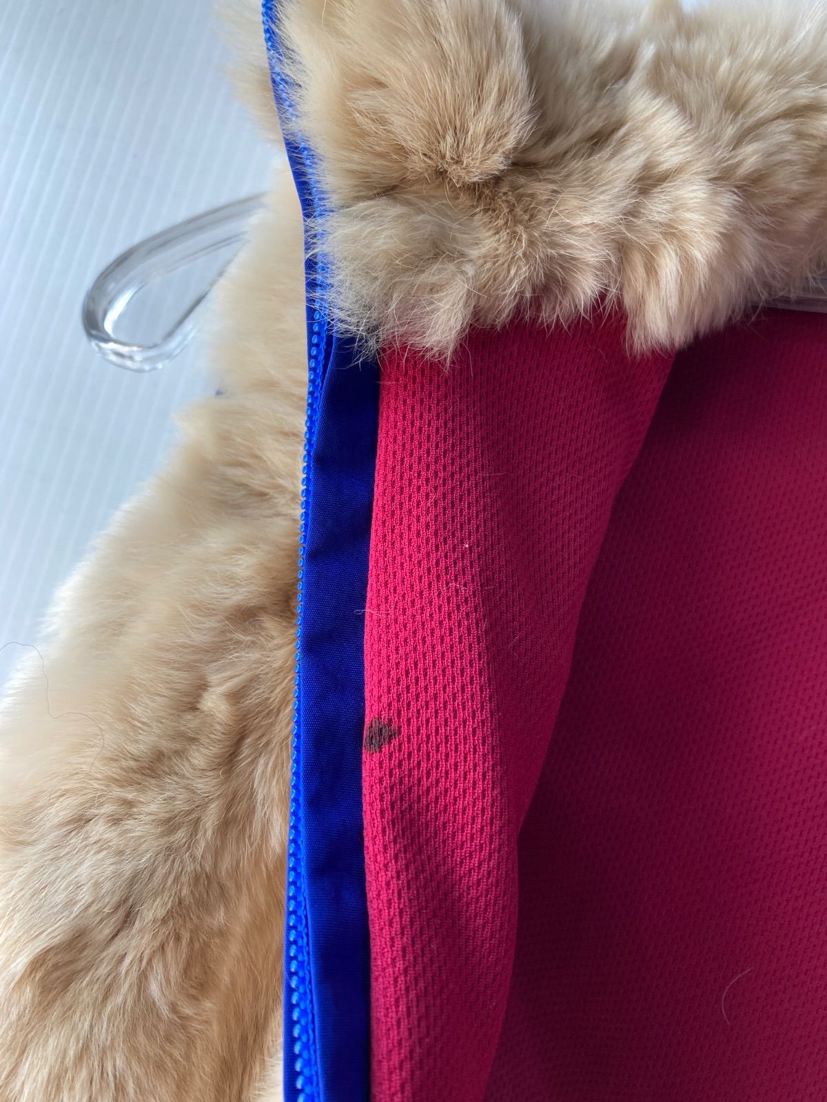  femme fatale ラビットファーベスト F 115-50120 1 ベスト ジレ ベスト ジレ ビスチェ