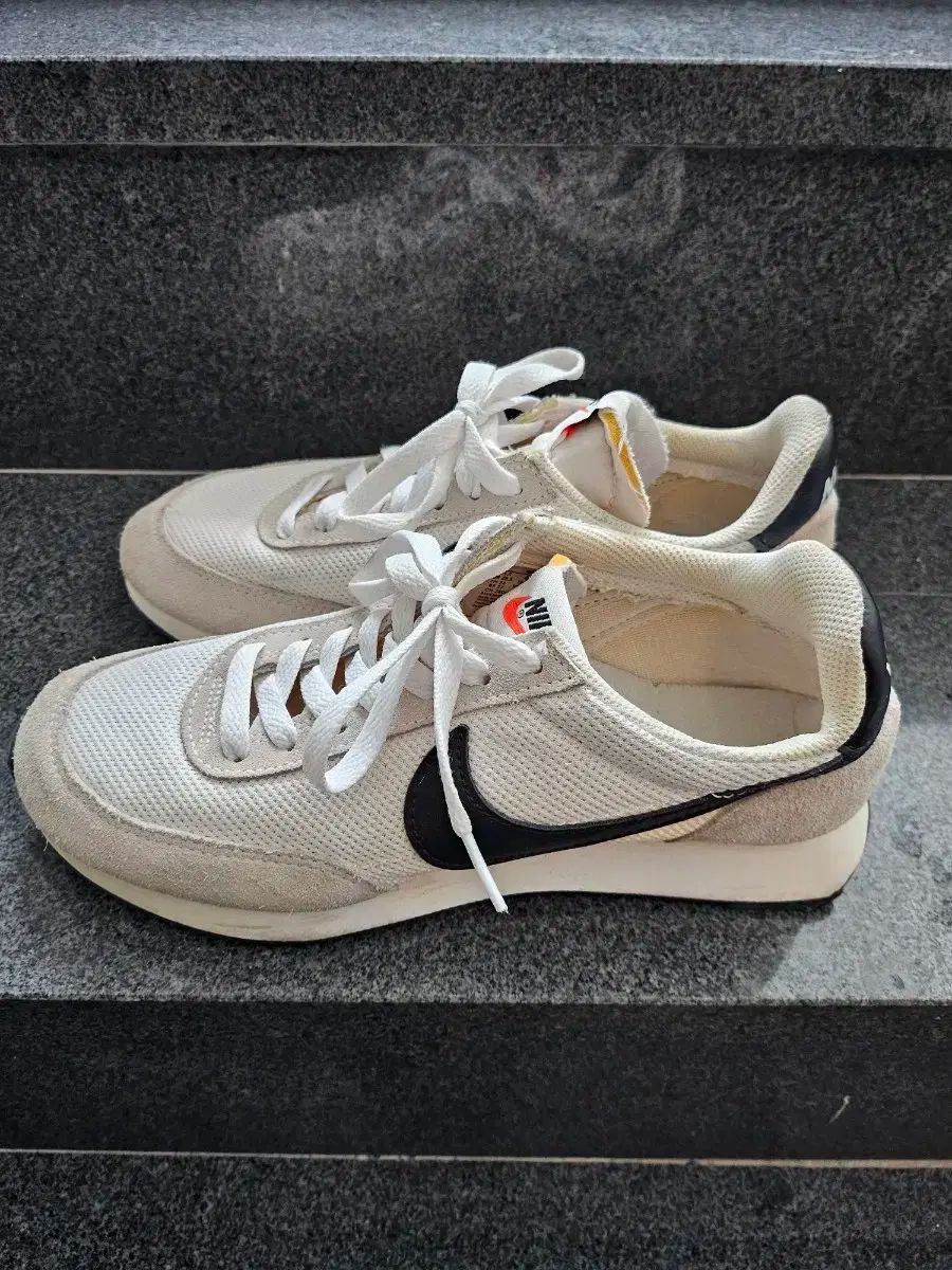 【雷市場（ポンジャン）商品韓国直送】 NIKE(ナイキ) テイルウィンド 79 240 サイズ