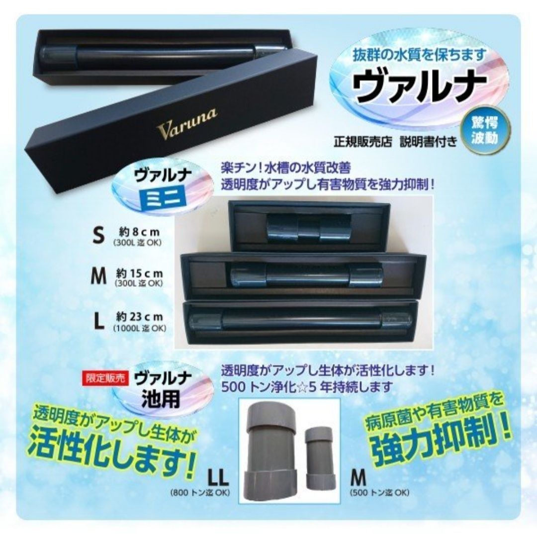 水槽の水が綺麗に【ヴァルナミニ23センチ】有害物質を強力抑制し 水槽の水が綺麗に【ヴァルナミニ23センチ】有害物質を強力抑制し