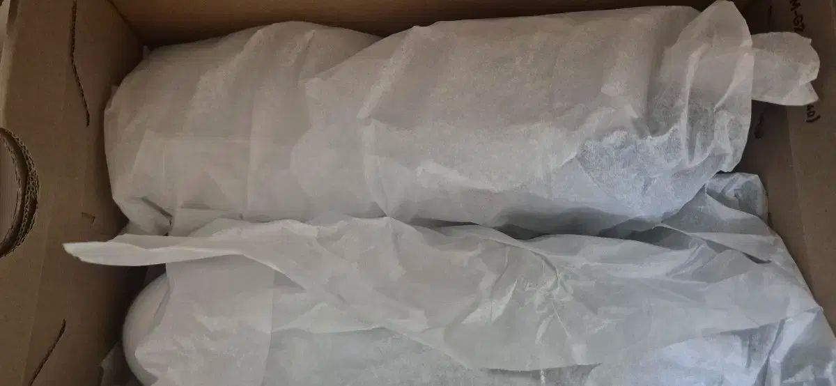 ミズノ ネック スライト BoA ゴルフシューズ 265mm LLC-HASEGAWATOSO_COM