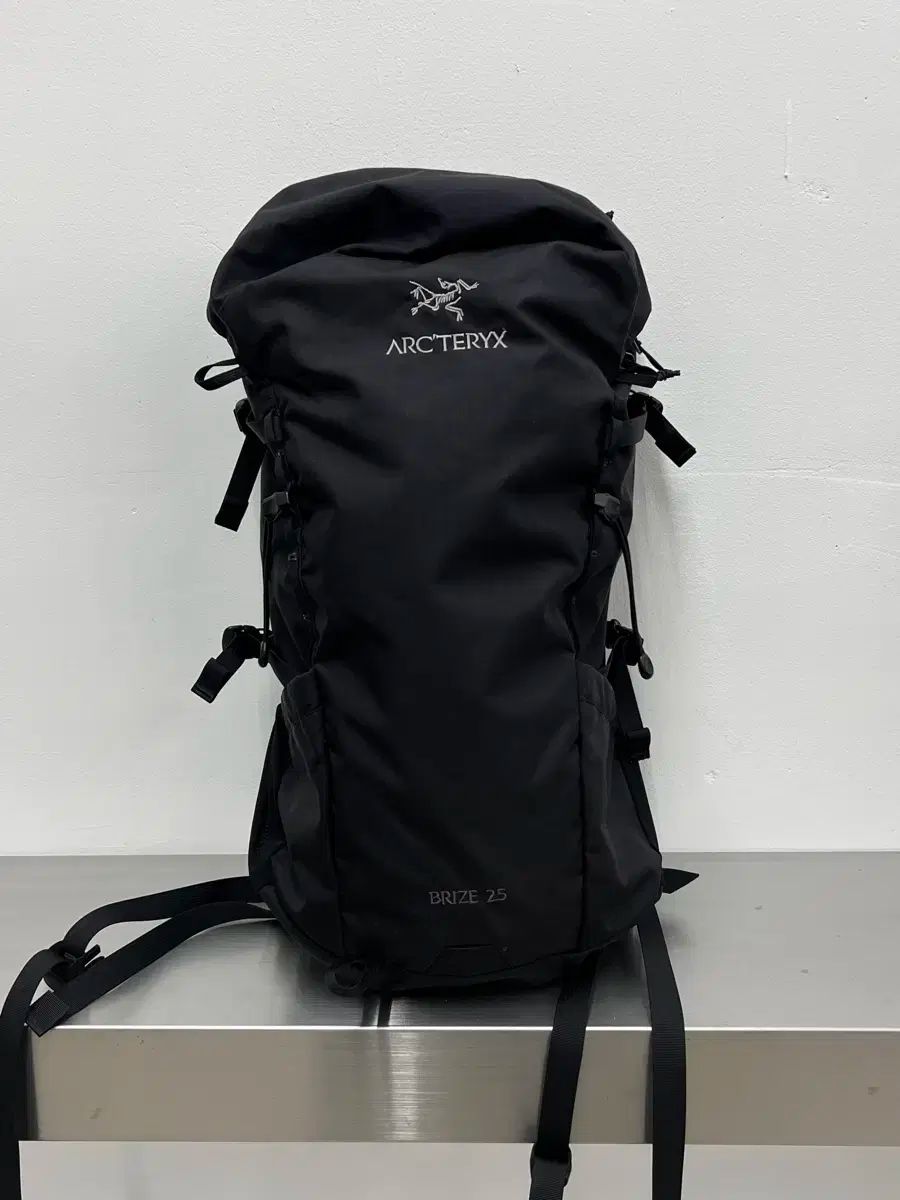 ARC TERYX アークテリクス ブライズ 25 バックパック ブラック