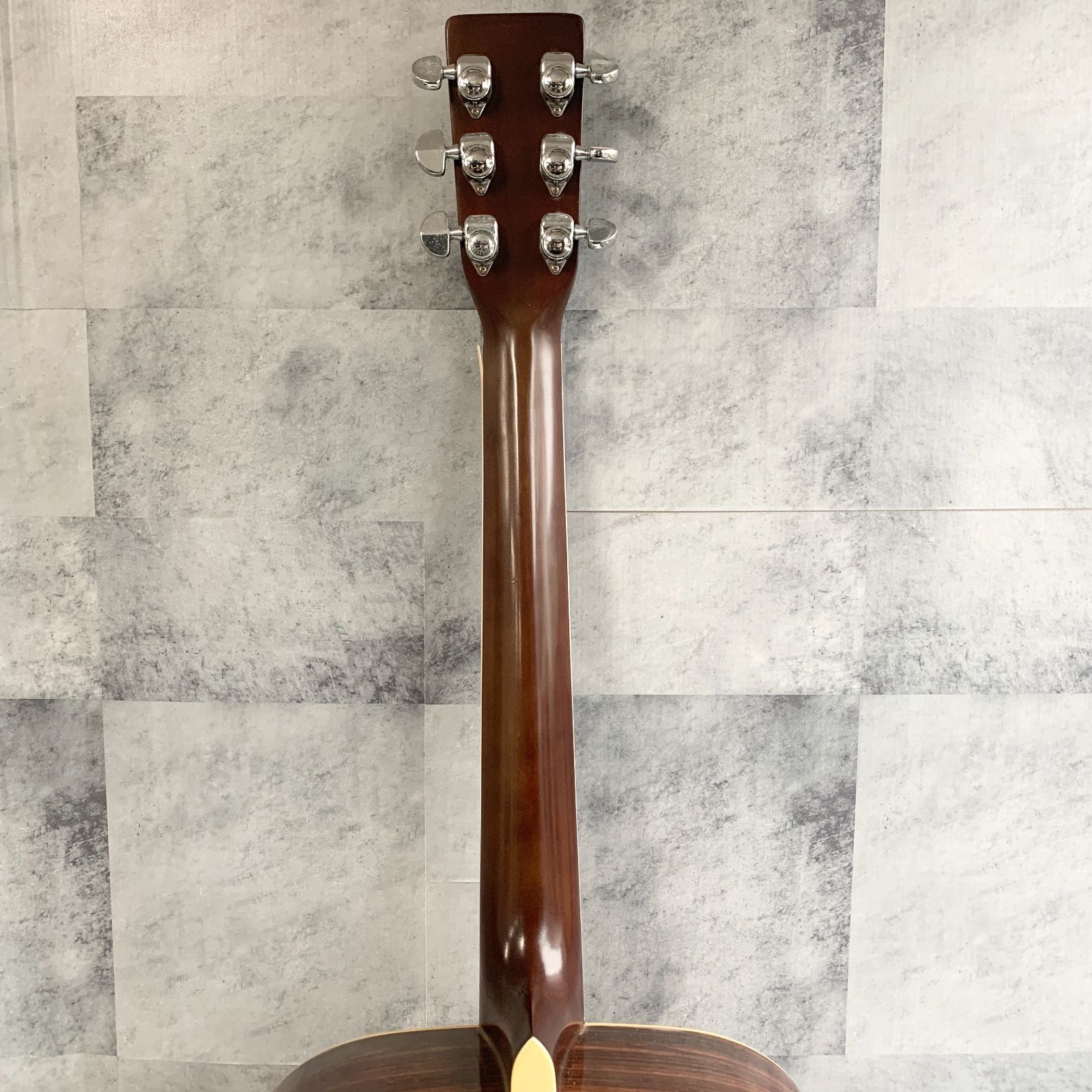 ARIA（楽器） Aria W-200 Acoustic Guitar アコースティック