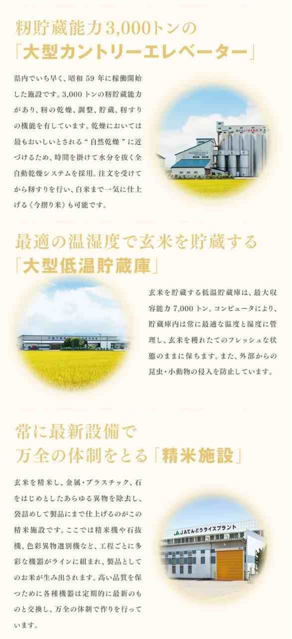 雪若丸 10kg