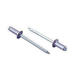 ロブテックス エビ ブラインドリベット皿頭 1000本入 アルミ スティール 6-10 NSA 610 K 3724298