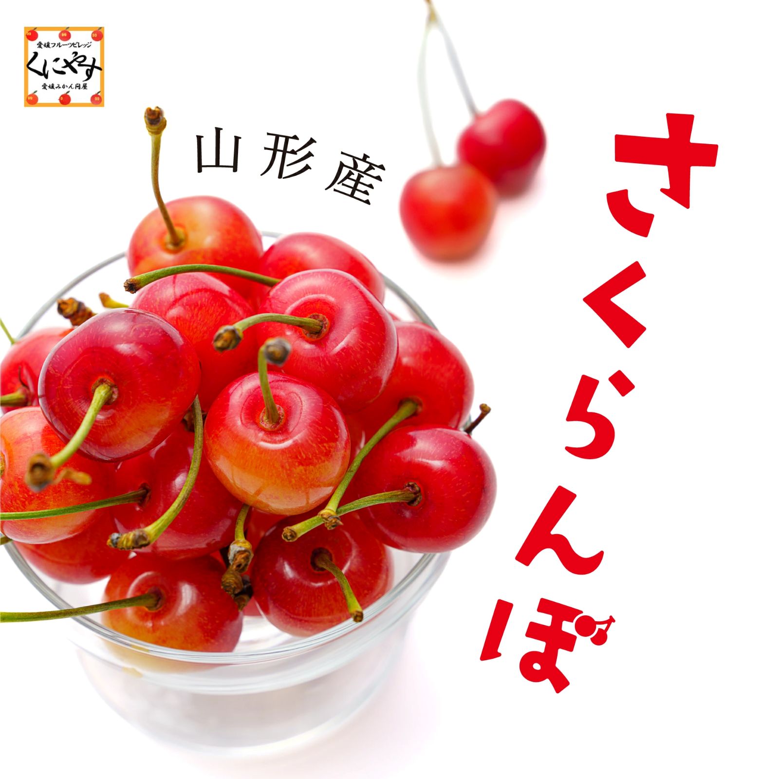 特秀品 約300g