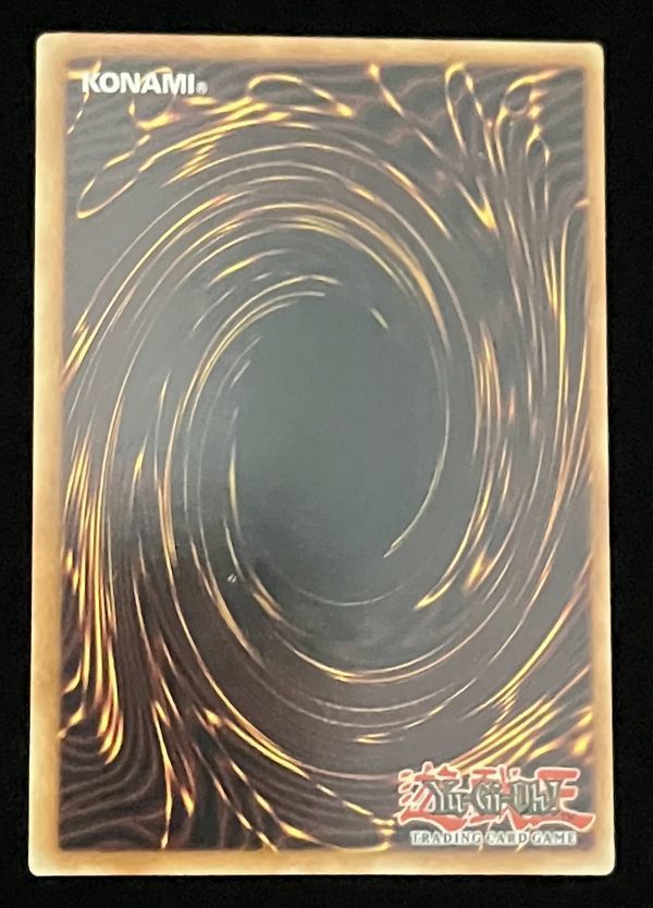 遊戯王 英語 北米版 ブラック ローズ ドラゴン ホログラフィック 1st