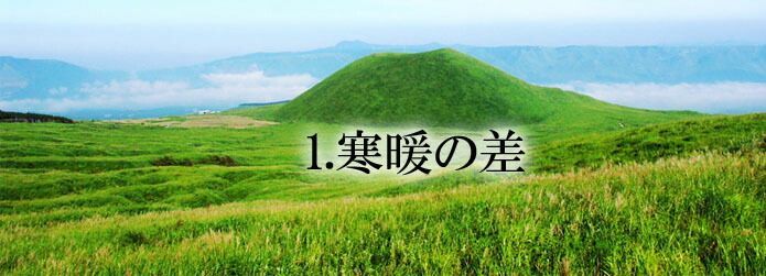 フルーツ