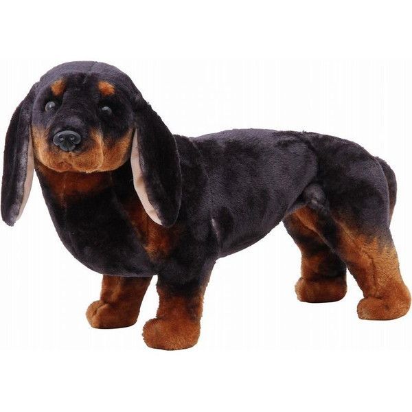 ダックスフンド　６５５１−２２（３４４８４）