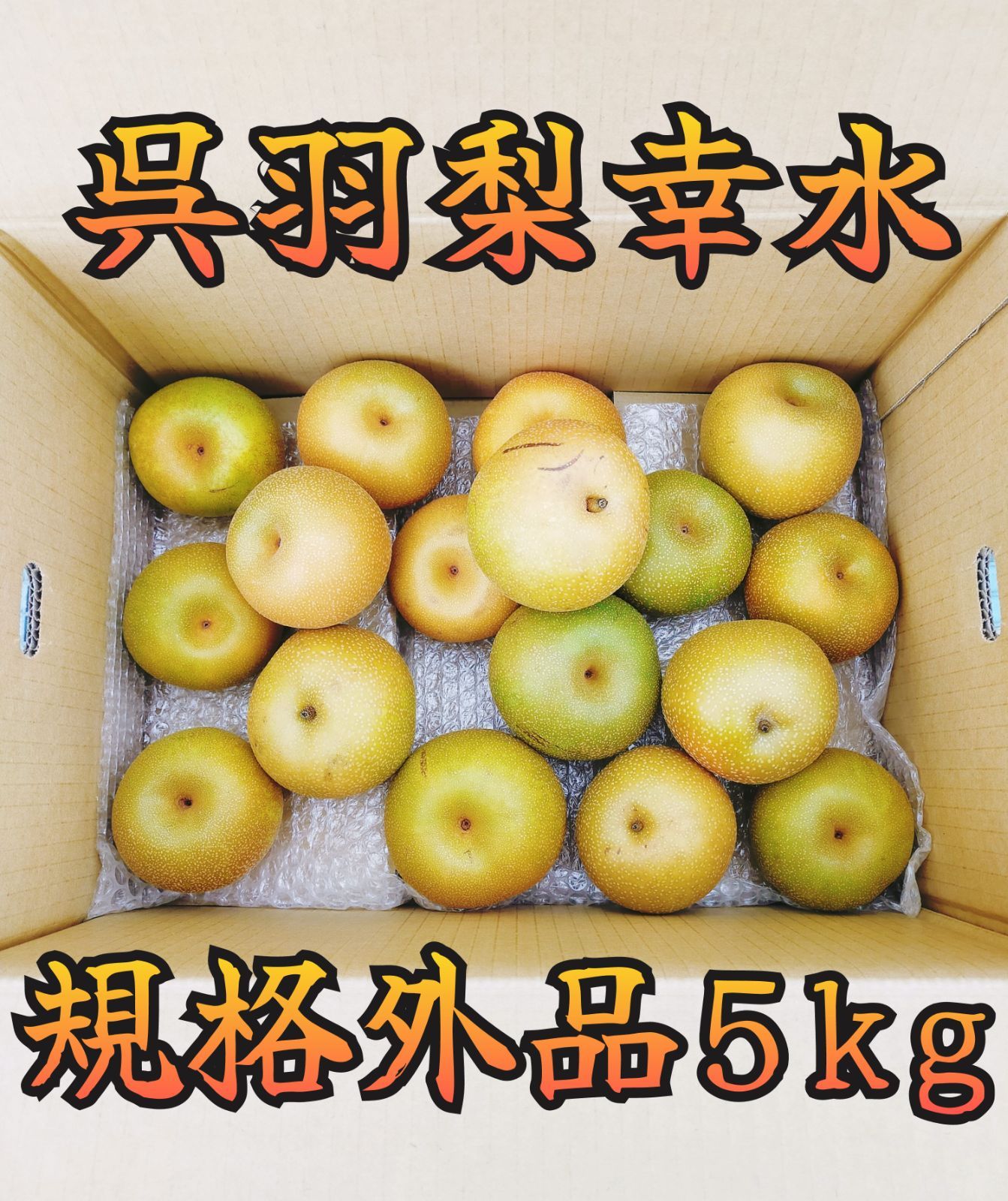 富山県産呉羽梨】幸水梨 規格外品 5kg 【生食用】ご家庭用 - メルカリ