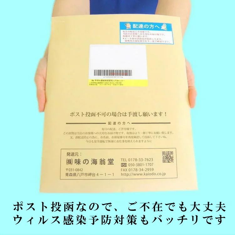 メルカリshops 寺山修司記念館謹製 家出のするめ35ｇ 商品紛失補償付