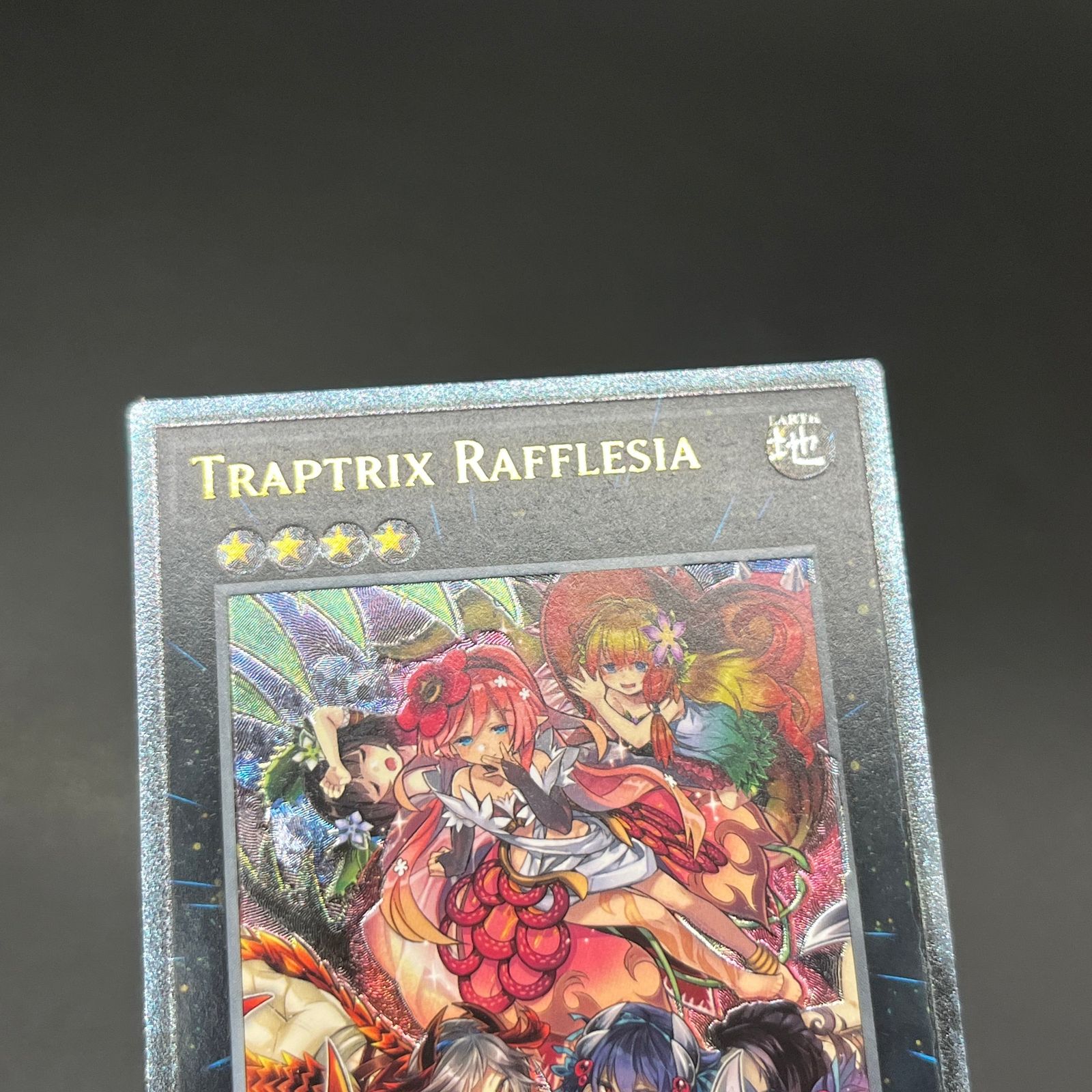 PSA10 エレキマイラ １枚 DEK遊戯王 レリーフ DREV PSA10 エレキマイラ 1枚 DEK遊戯王 レリーフ DREV PSA10 エレキマイラ