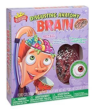 Disgusting Anatomy Brain