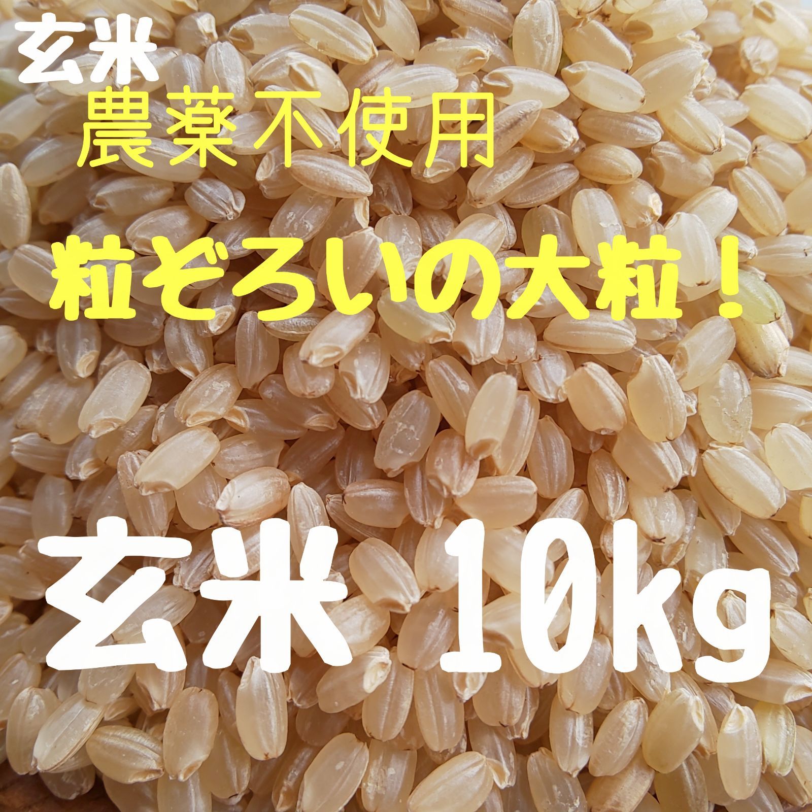 お1人様1点限り】 農薬不使用 化学肥料不使用 無農薬 自然栽培米