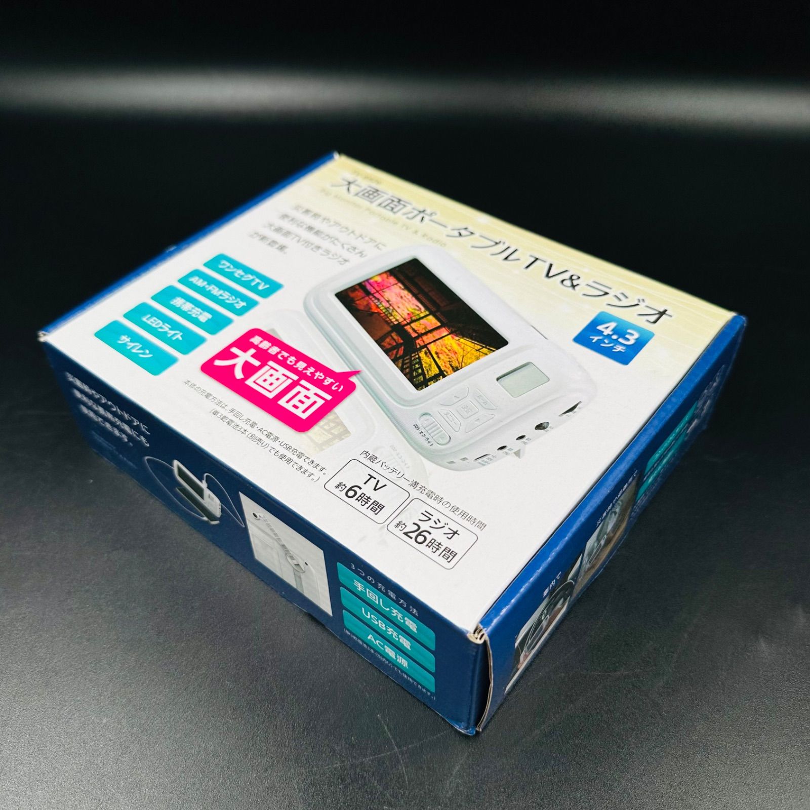 レア⭐︎アジア万感 坂口憲二私旅行 第一集・第二集