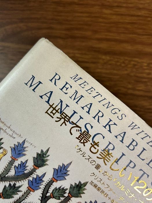 世界で最も美しい12の写本 ―『ケルズの書』から『カルミナ