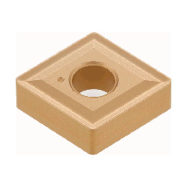 小野竹喬大成 公式 画集 小野竹喬大成 二重函入り 小学館 画集 小野竹