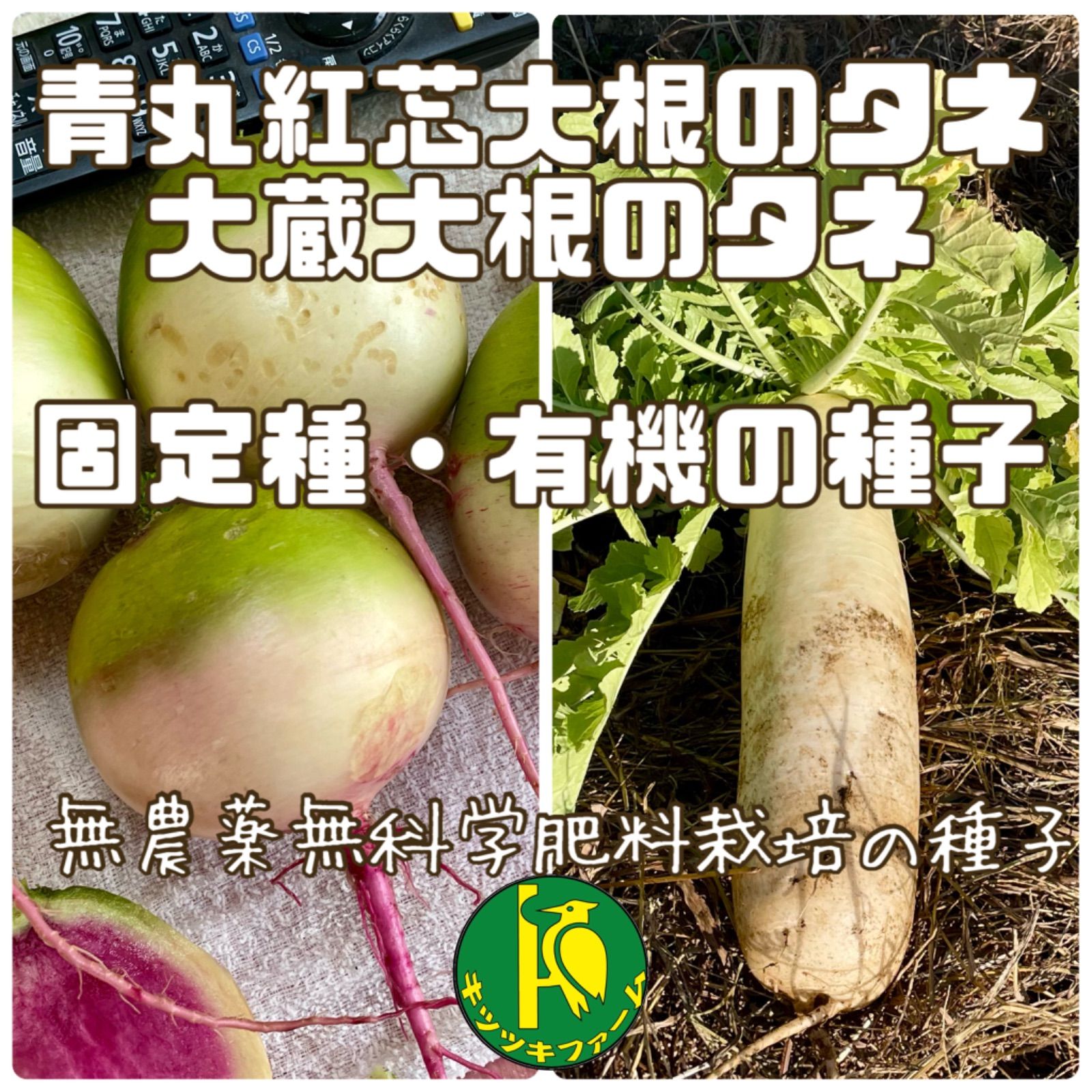 青丸紅芯大根のタネと大蔵大根のタネ 各40粒 固定種・無農薬無科学肥料栽培の種子 セット - メルカリ