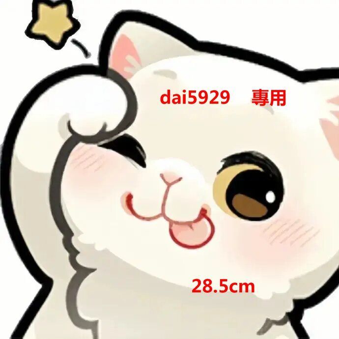 dai5929    專用  28.5cm