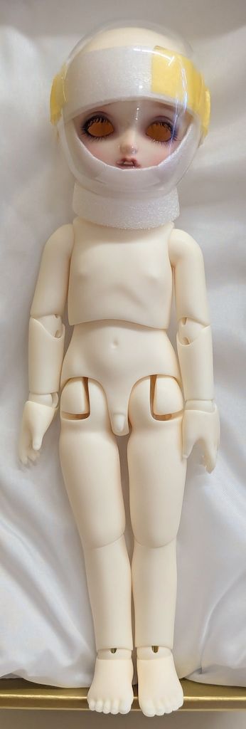 ボークス 幼SD男の子 夢夜への誘い 第十二章 青い鳥 青い鳥 L oiseau bleu ドルパ46