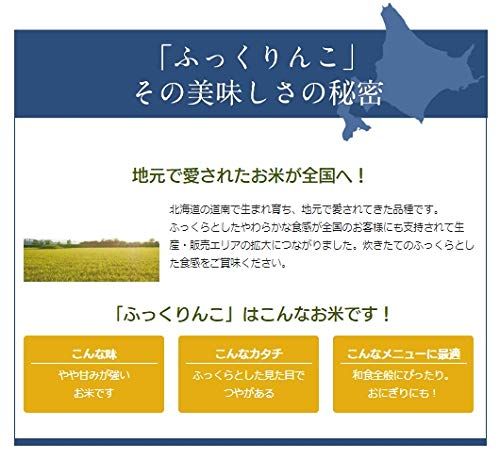 【即日発送】ホクレンふっくりんこ 5kg 令和6年産 精米【DD】