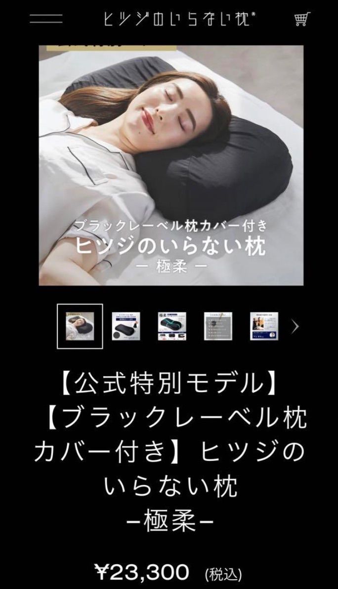 BIGサイズ