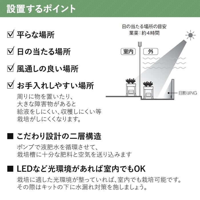 イチゴ