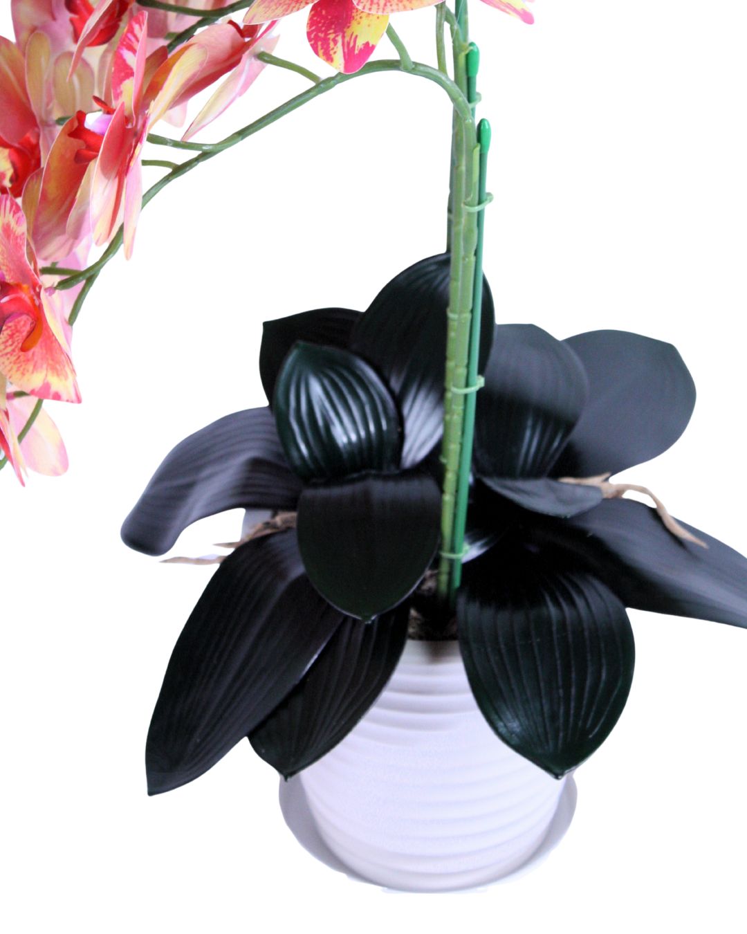 受け皿付き 光触媒品