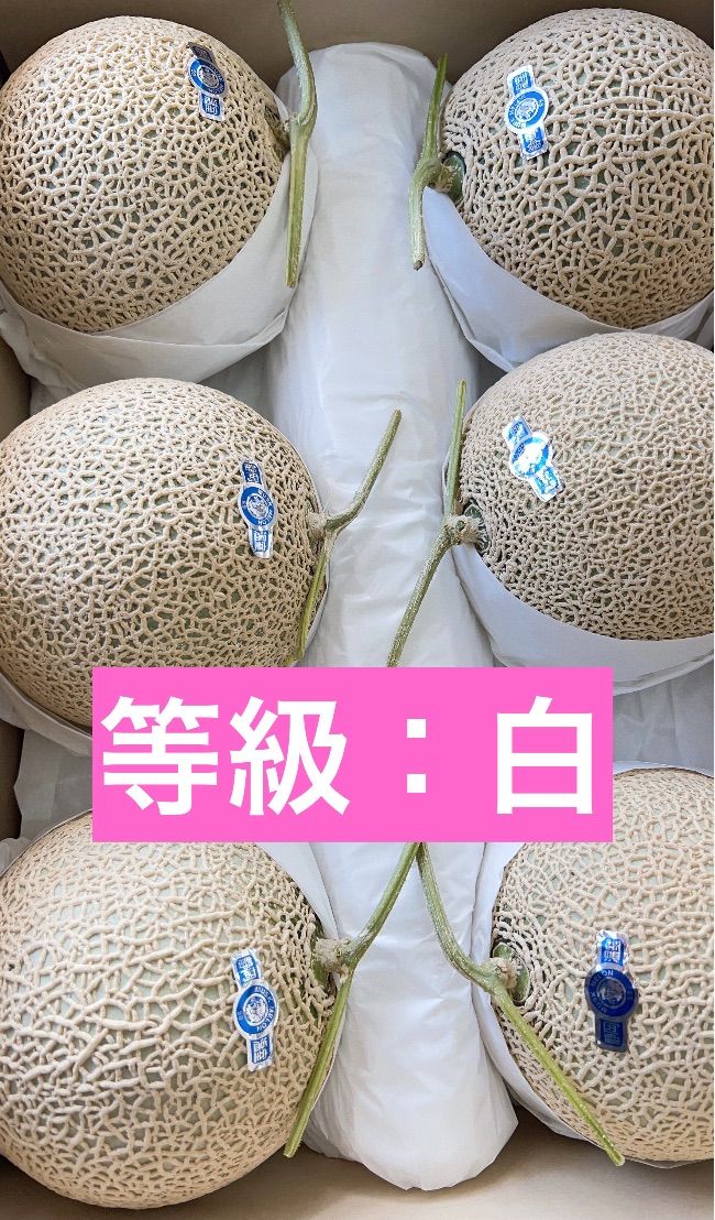 マスクメロン二箱