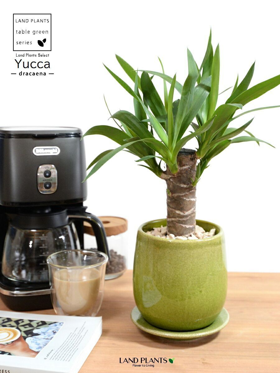 特別価格！Panasonic MKN 73318 アダプタセット